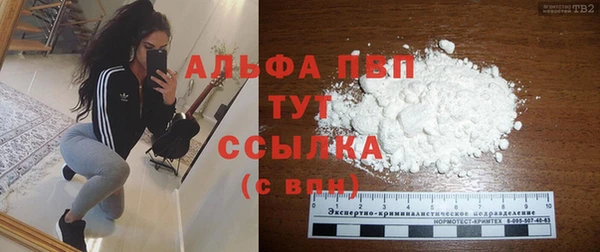 дживик Арсеньев