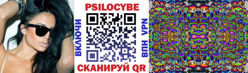 это телеграм  mega ССЫЛКА  Николаевск  Галлюциногенные грибы Psilocybe 